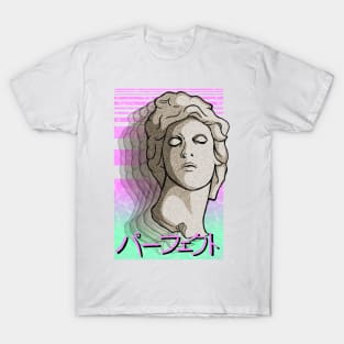 Perfect パーフェクト T-Shirt